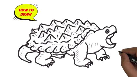 Alligator snapping turtle line drawing/ How to draw an Alligator snapping turtle easy - YouTube