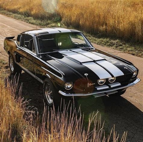 1965 Ford Mustang Shelby GT500 – Cars Club