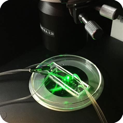 Microfluidics — Cellular and Molecular Biomechanics Laboratory