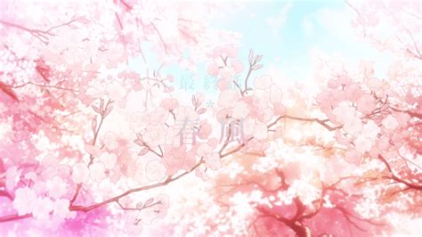 Your Lie in April Cherry Blossoms Wallpapers - Top Free Your Lie in ...