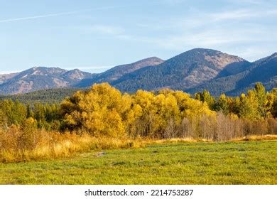 590 Fall Colors Montana Foliage Images, Stock Photos & Vectors | Shutterstock