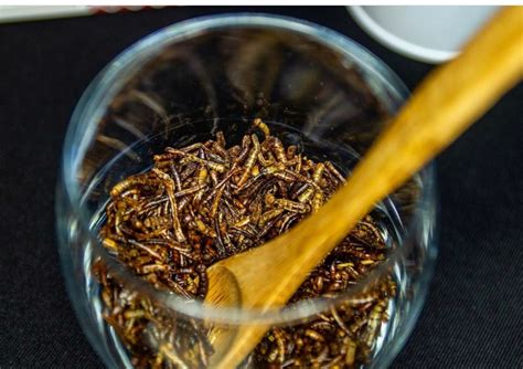 Recipes for Mealworms (Satisfy That Craving!)