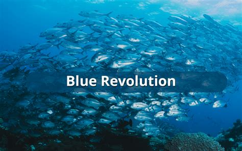 Blue Revolution In India - UPSC