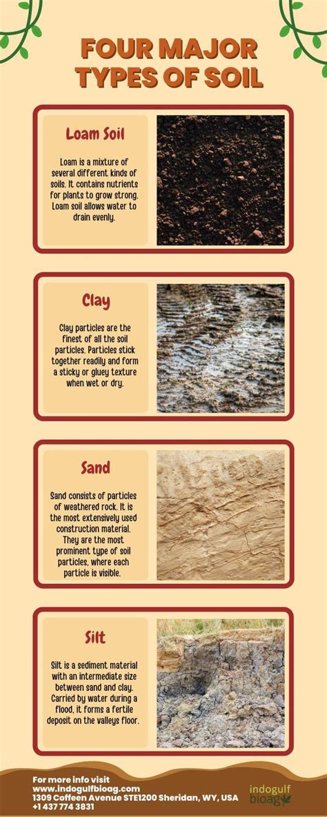 Types Of Soil Sandy Soil, Clay Soil, Slit Soil And Loamy, 43% OFF