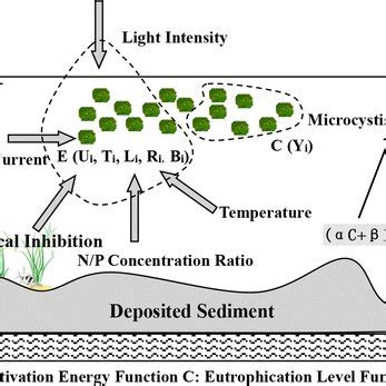 Framework of the Microcystis bloom warning model | Download Scientific Diagram