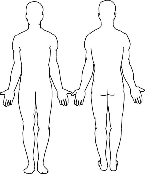 Female Human Body Diagram Blank