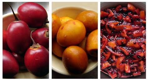 Couscous & Consciousness: Trio of Tamarillo Recipes