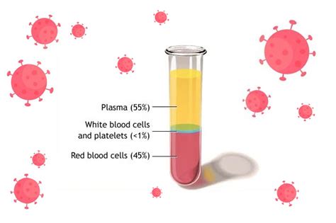 Protein Plasma Darah Pasien Covid-19 Dapat Prediksi Kondisi Pasien ...