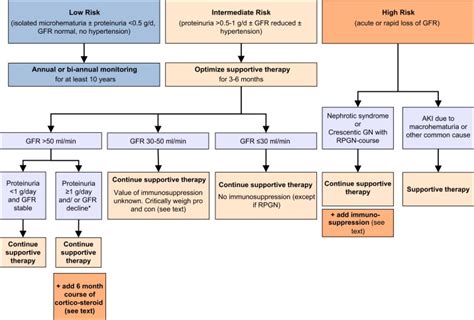 Therapy algorithm for immunoglobulin A nephropathy. Details of the... | Download Scientific Diagram