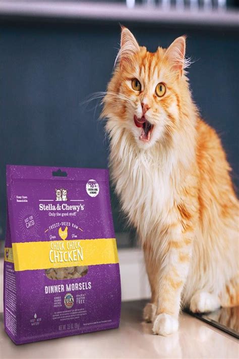 Best Freeze-dried Cat Food Review And Buying Guide 2024