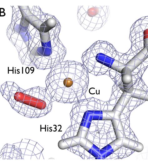 Insight into Enzyme's 3D Structure Could Cut Biofuel Costs - Research ...