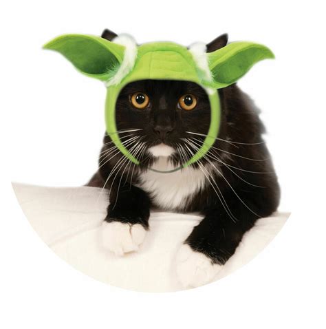 Yoda Cat Ears