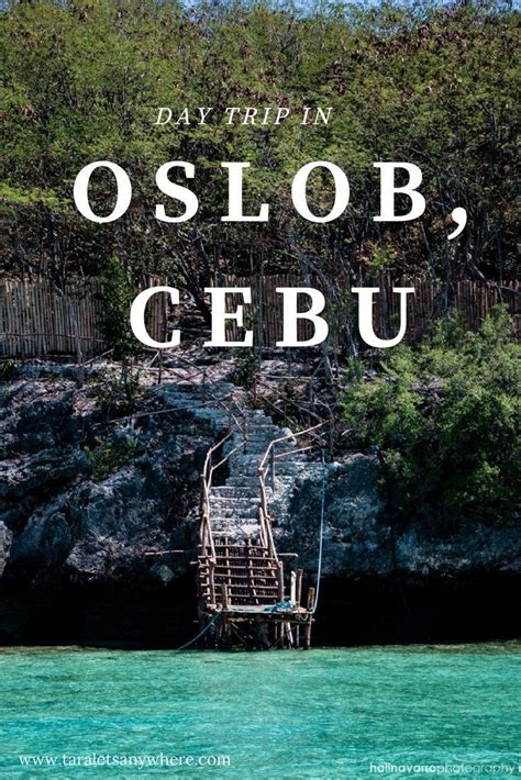 Day Trip in Oslob (Cebu): Things to Do + Itinerary - Tara Lets Anywhere | Philippines travel ...