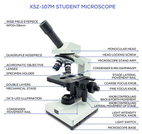 Microscopes Labeled