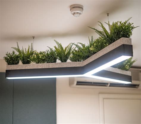 What is Biophilic Lighting? - Synergy Creativ