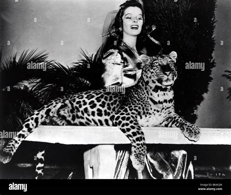 Bringing up baby 1938 katharine hepburn hi-res stock photography and images - Alamy