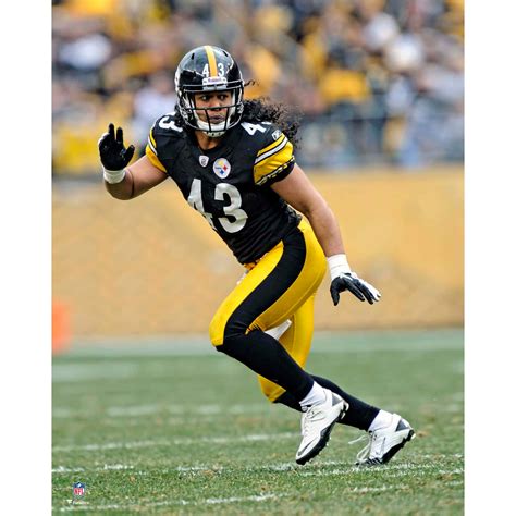 Update 74+ troy polamalu wallpaper super hot - in.coedo.com.vn