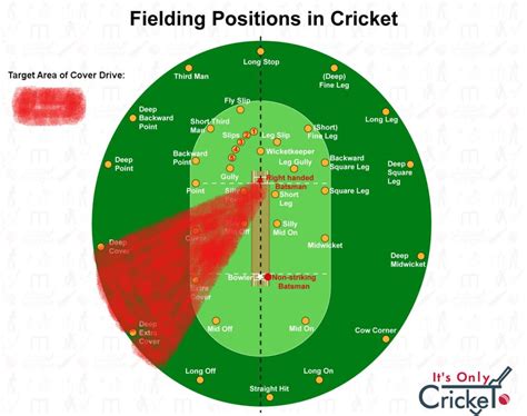 What is Cover Drive and How to Play it? - ItsOnlyCricket