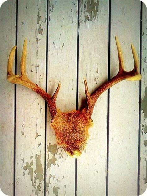 Deer Antlers-Rustic Wall Decor