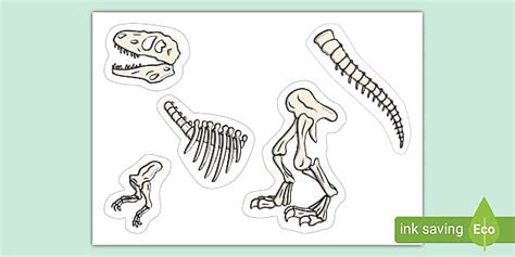 Dinosaur Skeleton Activity (teacher made) - Twinkl