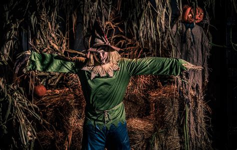 Spooky Fun Awaits this Halloween Season at The Haunted Forest at the ...