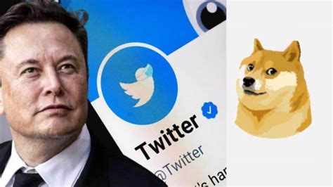 Twitter Logo Changed! Elon Musk Replaces Twitter's Blue Bird With 'Doge' Meme | Zee Business