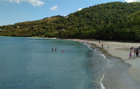 9 Best beaches in Tortola island, BVI - Ultimate guide (November 2024)