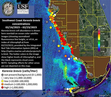 Red Tide Persists and Intensifies | Sanibel-Captiva Conservation Foundation