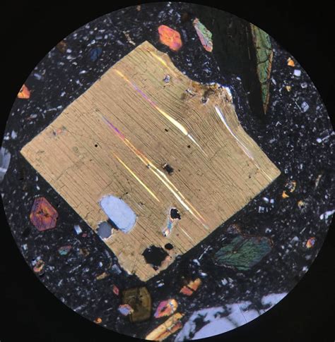 Thin section of biotite, amphibole and plagioclase : geology