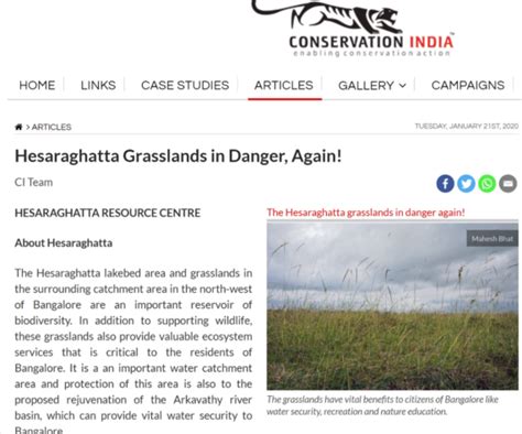 Birdwalk to Save Hessaraghatta - Bird Count India