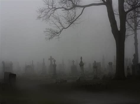 Spooky Fog Photograph by Gothicrow Images - Fine Art America