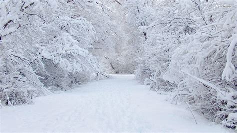 Snow Storm Wallpapers - Wallpaper Cave