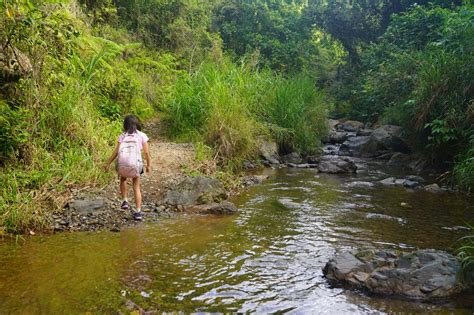 Salto Curet - An Off-The-Beaten-Path Waterfall Near Maricao