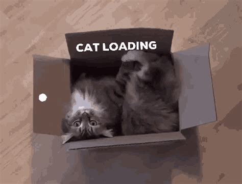 Loading Cat Loading GIF - Loading CatLoading LoadingCat - Discover ...