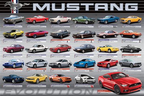 2015 Ultimate Mustang Evolution Poster,36X24 In,Mustangs Poster,Art Nouveau,NEW | Mustang, Ford ...