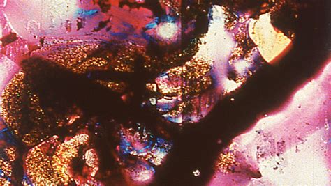 Stan Brakhage: 1954–2001 – Museum of the Moving Image