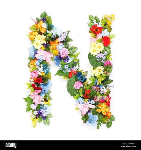 Letter N Flowers Stock Photos & Letter N Flowers Stock Images - Alamy