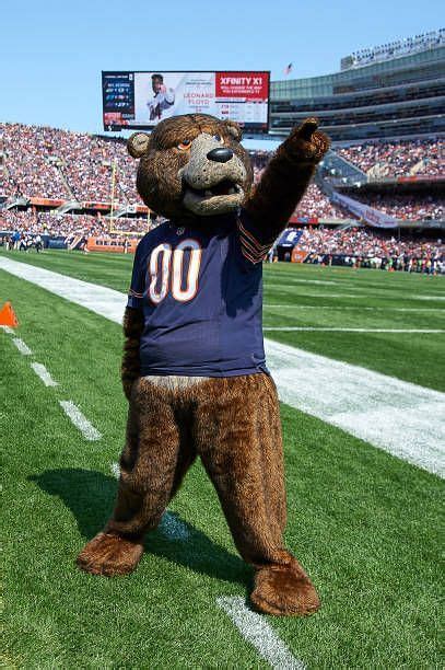 What is Chicago Bears Mascot Staley Da Bear's Salary?