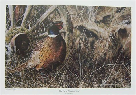 Darren Haley New Homesteader Ducks Unlimited Print | Ducks unlimited ...