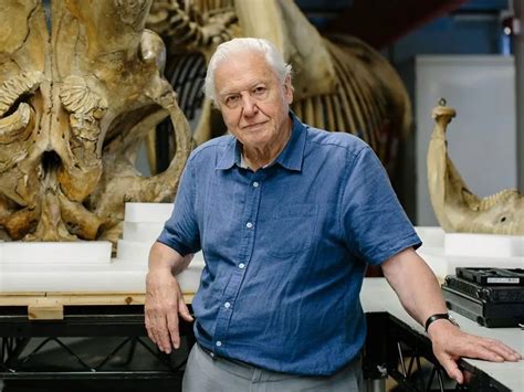 David Attenborough's 'Dynasties' Is Everything You Loved About 'Blue Planet II' and Then Some