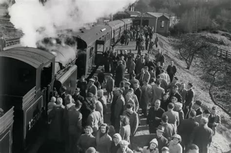 Walk: Exploring the former Rother Valley railway between Petersfield ...