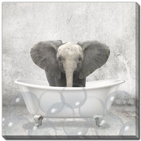 Baby Elephant Bath