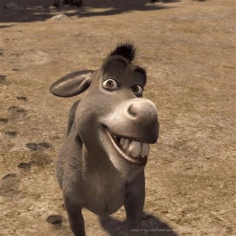 SHREK | Happy Donkey | When you realize it’s Friday. #DreamWorks #Shrek | By Shrek