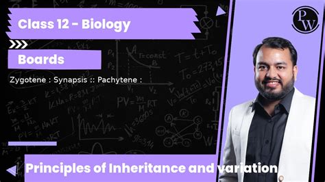 Zygotene : Synapsis :: Pachytene : - YouTube