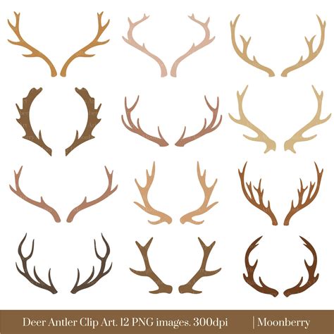 Deer Antler Clip Art DEER ANTLER CLIPART by MoonberryDigitalArt