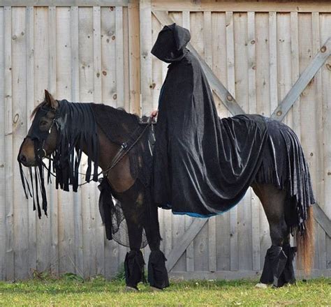 These Horse Halloween Costumes Will Make You Want a Trusty Steed of ...