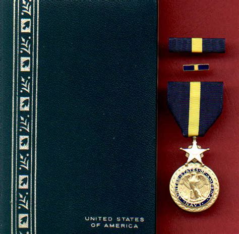 Navy and Marine Corps Distinguished Service Award Medal in Case