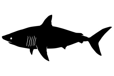 Porbeagle Shark Silhouette Graphic by iDrawSilhouettes · Creative Fabrica