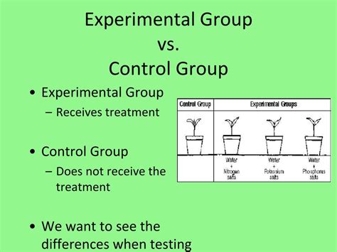 Control Group Vs Comparison Group at Chester Mathis blog