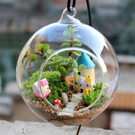 Cheap glass terrarium, Buy Quality terrarium ball directly from China ...